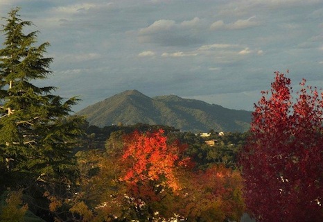 Slideshow Image 2