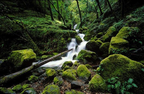 Slideshow Image 5