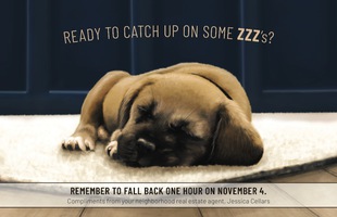 Corefact Seasonal - Fall Back Puppy Corefact Seasonal - Fall Back Puppy