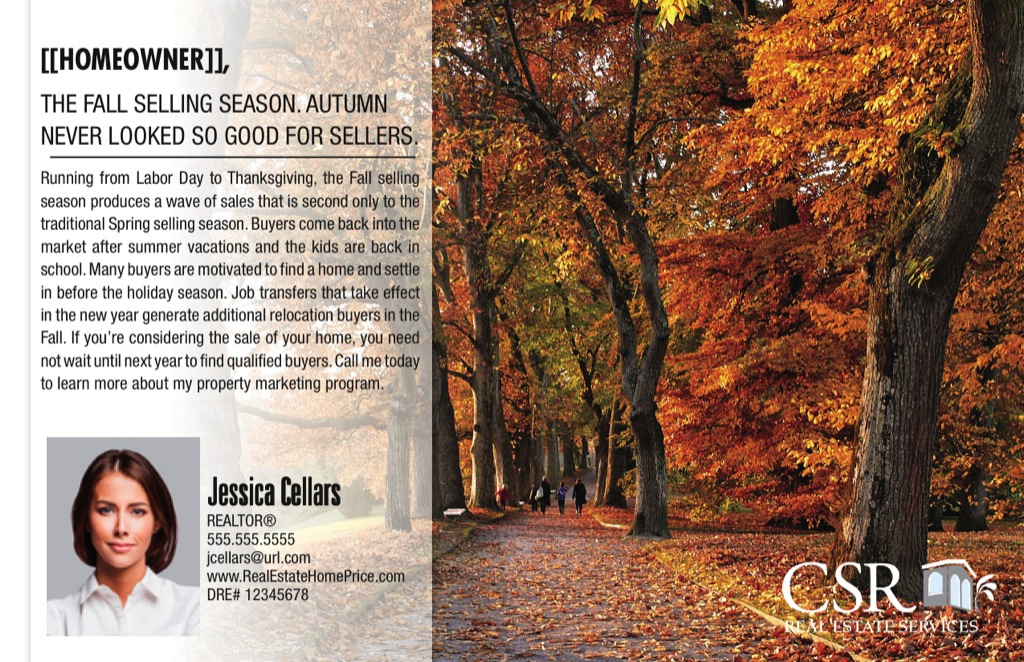 Corefact Series - Local Expert - Fall Season Corefact Series - Local Expert - Fall Season