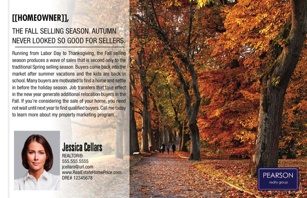 Corefact Series - Local Expert - Fall Season Corefact Series - Local Expert - Fall Season