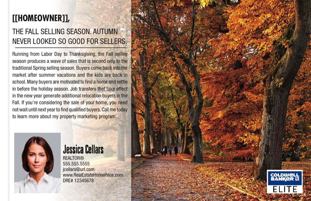 Corefact Series - Local Expert - Fall Season Corefact Series - Local Expert - Fall Season