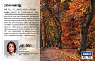 Corefact Series - Local Expert - Fall Season Corefact Series - Local Expert - Fall Season