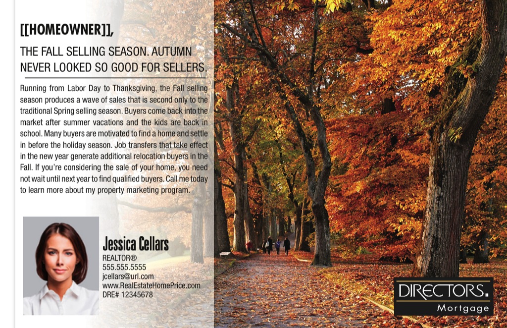 Corefact Series - Local Expert - Fall Season Corefact Series - Local Expert - Fall Season