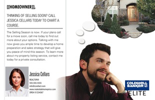 Corefact Series - Local Expert - Selling Soon Corefact Series - Local Expert - Selling Soon