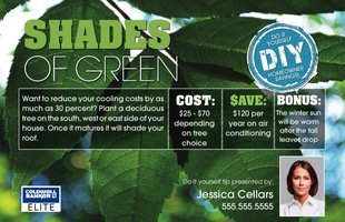 Corefact DIY - Shades of Green Corefact DIY - Shades of Green