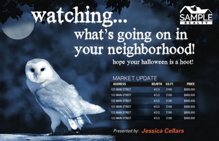 Corefact Seasonal - Market Update Owl (Manual) Corefact Seasonal - Market Update Owl (Manual)