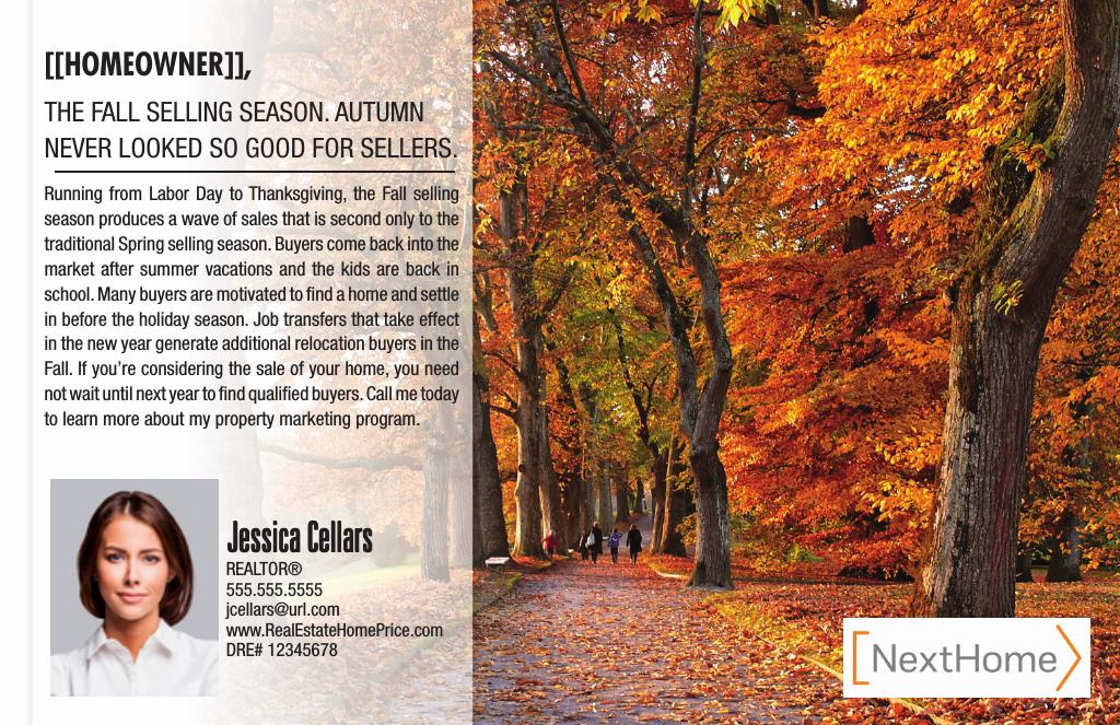 Corefact Local Expert - Fall Season Corefact Local Expert - Fall Season