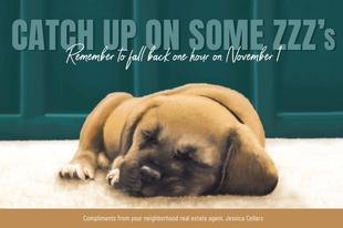 Corefact Seasonal - Fall Back Pup Corefact Seasonal - Fall Back Pup