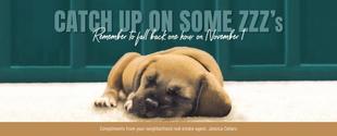 Corefact Seasonal - Fall Back Pup Corefact Seasonal - Fall Back Pup
