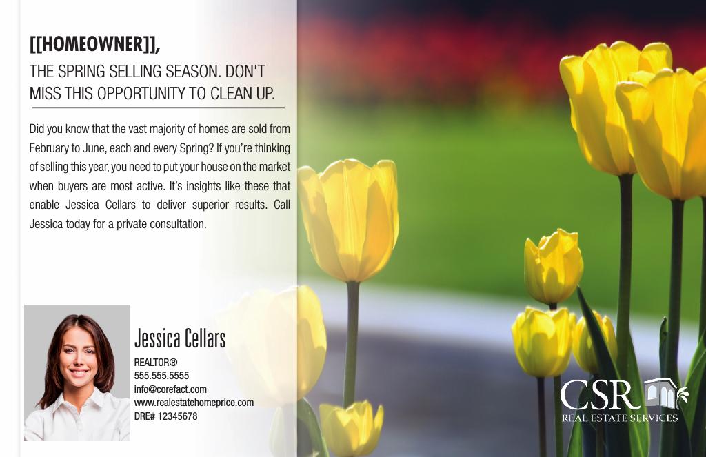 Corefact Series - Local Expert - Spring Corefact Series - Local Expert - Spring