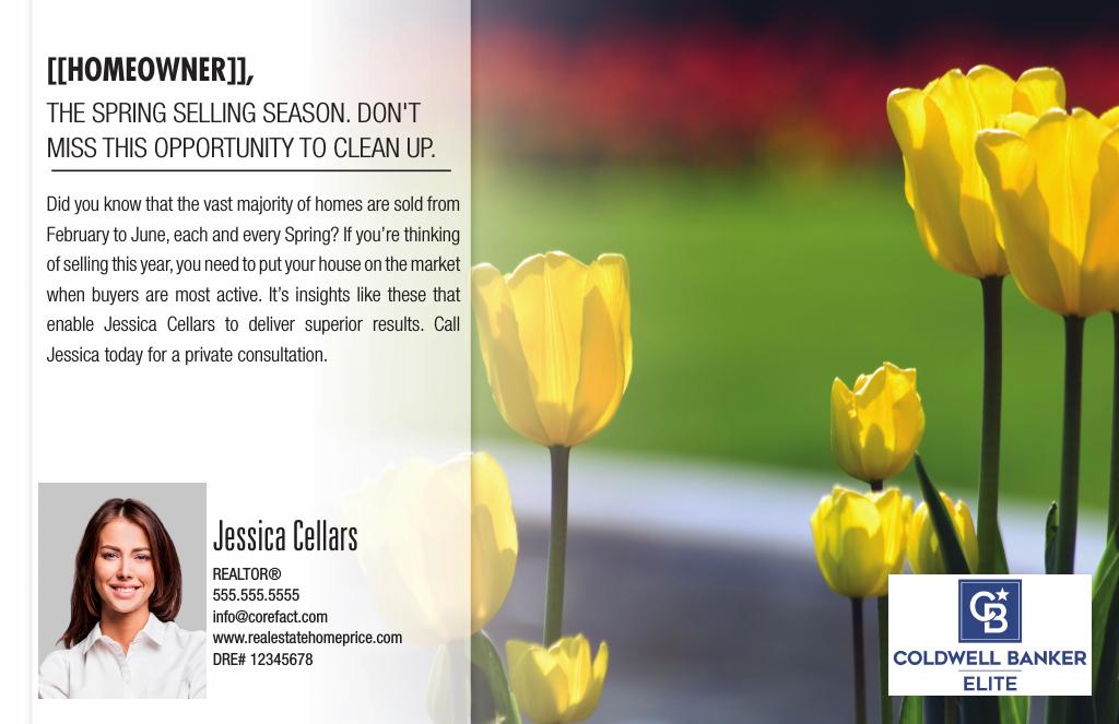 Corefact Series - Local Expert - Spring Corefact Series - Local Expert - Spring