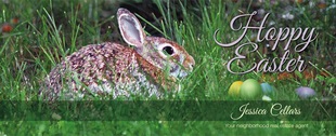 Corefact Seasonal - Hoppy Easter Corefact Seasonal - Hoppy Easter