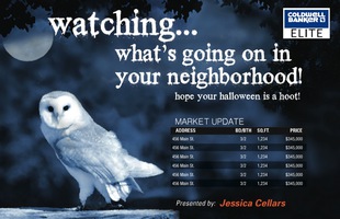 Corefact Seasonal - Market Update Owl (Auto) Corefact Seasonal - Market Update Owl (Auto)