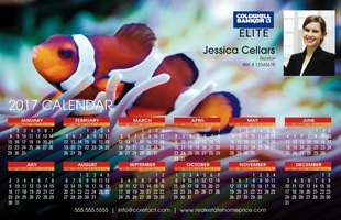 Corefact Calendar 2017 - Animal 03 Corefact Calendar 2017 - Animal 03